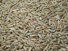 Cereal Rye